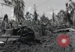 Standbild Invasion von Peleliu Peleliu Palau Inseln, 1944, aus Sekunde 41 historischem Filmmaterial Videoclip 65675067129