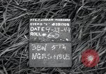 Standbild Invasion von Peleliu Peleliu Palau Inseln, 1944, aus Sekunde 4 historischem Filmmaterial Videoclip 65675067134