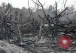Standbild Invasion von Peleliu Peleliu Palau Inseln, 1944, aus Sekunde 5 historischem Filmmaterial Videoclip 65675067134