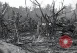 Standbild Invasion von Peleliu Peleliu Palau Inseln, 1944, aus Sekunde 6 historischem Filmmaterial Videoclip 65675067134