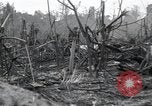 Standbild Invasion von Peleliu Peleliu Palau Inseln, 1944, aus Sekunde 8 historischem Filmmaterial Videoclip 65675067134