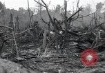 Standbild Invasion von Peleliu Peleliu Palau Inseln, 1944, aus Sekunde 9 historischem Filmmaterial Videoclip 65675067134