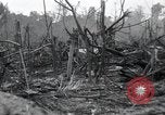 Standbild Invasion von Peleliu Peleliu Palau Inseln, 1944, aus Sekunde 10 historischem Filmmaterial Videoclip 65675067134