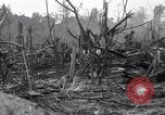Standbild Invasion von Peleliu Peleliu Palau Inseln, 1944, aus Sekunde 11 historischem Filmmaterial Videoclip 65675067134
