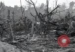 Standbild Invasion von Peleliu Peleliu Palau Inseln, 1944, aus Sekunde 12 historischem Filmmaterial Videoclip 65675067134