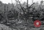 Standbild Invasion von Peleliu Peleliu Palau Inseln, 1944, aus Sekunde 14 historischem Filmmaterial Videoclip 65675067134
