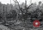 Standbild Invasion von Peleliu Peleliu Palau Inseln, 1944, aus Sekunde 15 historischem Filmmaterial Videoclip 65675067134