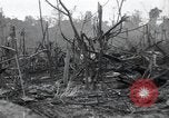 Standbild Invasion von Peleliu Peleliu Palau Inseln, 1944, aus Sekunde 17 historischem Filmmaterial Videoclip 65675067134