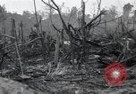 Standbild Invasion von Peleliu Peleliu Palau Inseln, 1944, aus Sekunde 18 historischem Filmmaterial Videoclip 65675067134