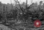 Standbild Invasion von Peleliu Peleliu Palau Inseln, 1944, aus Sekunde 19 historischem Filmmaterial Videoclip 65675067134
