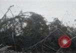 Standbild Invasion von Peleliu Peleliu Palau Inseln, 1944, aus Sekunde 33 historischem Filmmaterial Videoclip 65675067134