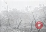 Standbild Invasion von Peleliu Peleliu Palau Inseln, 1944, aus Sekunde 35 historischem Filmmaterial Videoclip 65675067135