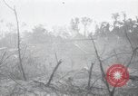 Standbild Invasion von Peleliu Peleliu Palau Inseln, 1944, aus Sekunde 37 historischem Filmmaterial Videoclip 65675067135