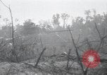 Standbild Invasion von Peleliu Peleliu Palau Inseln, 1944, aus Sekunde 42 historischem Filmmaterial Videoclip 65675067135