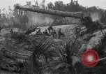 Standbild Invasion von Peleliu Peleliu Palau Inseln, 1944, aus Sekunde 41 historischem Filmmaterial Videoclip 65675067136
