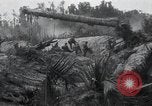 Standbild Invasion von Peleliu Peleliu Palau Inseln, 1944, aus Sekunde 43 historischem Filmmaterial Videoclip 65675067136