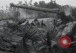 Standbild Invasion von Peleliu Peleliu Palau Inseln, 1944, aus Sekunde 45 historischem Filmmaterial Videoclip 65675067136