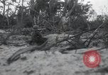 Standbild Invasion von Peleliu Peleliu Palau Inseln, 1944, aus Sekunde 60 historischem Filmmaterial Videoclip 65675067136