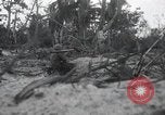 Standbild Invasion von Peleliu Peleliu Palau Inseln, 1944, aus Sekunde 62 historischem Filmmaterial Videoclip 65675067136