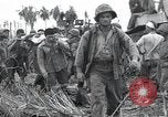 Immagine di Invasione di Peleliu Peleliu Isole Palau, 1944, secondo 1 filmato di repertorio 65675067137