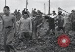 Immagine di Invasione di Peleliu Peleliu Isole Palau, 1944, secondo 54 filmato di repertorio 65675067137