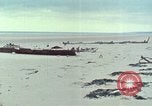 Standbild 30 Jahrestag des D-Day Frankreich, 1974, aus Sekunde 30 historischem Filmmaterial Videoclip 65675067152