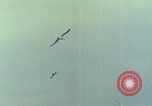 Standbild 30 Jahrestag des D-Day Frankreich, 1974, aus Sekunde 45 historischem Filmmaterial Videoclip 65675067152