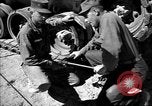 Immagine di Armored Combat training Mojave California USA, 1955, secondo 38 filmato di repertorio 65675067159