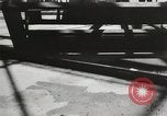 Immagine di Conseguenze dell'attacco di Pearl Harbor Hawaii USA, 1941, secondo 29 filmato di repertorio 65675067187