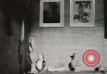 Standbild Business Struktur Hawaii USA, 1941, aus Sekunde 38 historischem Filmmaterial Videoclip 65675067188