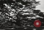 Immagine di Edifici e case Honolulu Hawaii USA, 1941, secondo 46 filmato di repertorio 65675067189