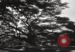 Immagine di Edifici e case Honolulu Hawaii USA, 1941, secondo 47 filmato di repertorio 65675067189