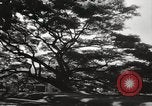 Immagine di Edifici e case Honolulu Hawaii USA, 1941, secondo 48 filmato di repertorio 65675067189