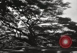 Immagine di Edifici e case Honolulu Hawaii USA, 1941, secondo 49 filmato di repertorio 65675067189
