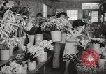 Image of Japanese people Honolulu Hawaii USA, 1941, second 28 stock footage video 65675067190