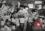 Image of Japanese people Honolulu Hawaii USA, 1941, second 29 stock footage video 65675067190
