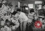 Image of Japanese people Honolulu Hawaii USA, 1941, second 30 stock footage video 65675067190
