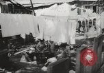 Image of Japanese people Honolulu Hawaii USA, 1941, second 33 stock footage video 65675067190