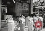 Standbild Japaner United States USA, 1943, aus Sekunde 17 historischem Filmmaterial Videoclip 65675067192