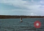 Image of Japanese installations Philippines, 1945, second 36 stock footage video 65675067196