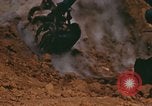 Image of P-39 Airacobra Pacific Theater, 1945, second 19 stock footage video 65675067204