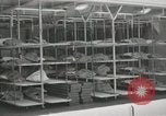 Image of American people Staten Island New York USA, 1952, second 12 stock footage video 65675067221
