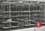 Image of American people Staten Island New York USA, 1952, second 14 stock footage video 65675067221