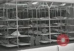Image of American people Staten Island New York USA, 1952, second 16 stock footage video 65675067221