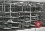 Image of American people Staten Island New York USA, 1952, second 17 stock footage video 65675067221