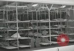 Image of American people Staten Island New York USA, 1952, second 18 stock footage video 65675067221