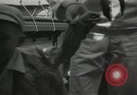 Image of American people Staten Island New York USA, 1952, second 49 stock footage video 65675067221