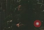 Image Père John Hien Vietnam, 1968, de la seconde 42 séquences d'archives historiques vidéo 65675067227