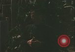 Image Père John Hien Vietnam, 1968, de la seconde 43 séquences d'archives historiques vidéo 65675067227