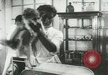 Immagine di Spazio sovietica la ricerca utilizzando i canini Unione Sovietica, 1957, secondo 13 filmato di repertorio 65675067229